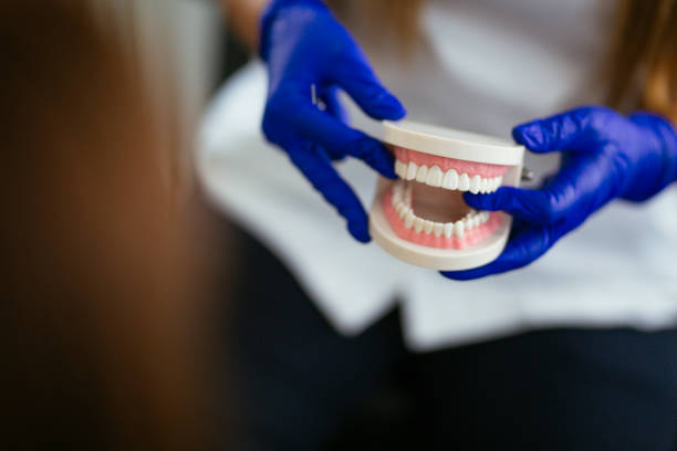 Professional Holistic Dental Care Services in Woodcreek, TX