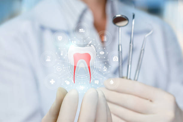 Best Full Mouth Reconstruction  in Woodcreek, TX